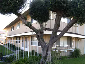 12082 Bailey St in Garden Grove, CA - Building Photo