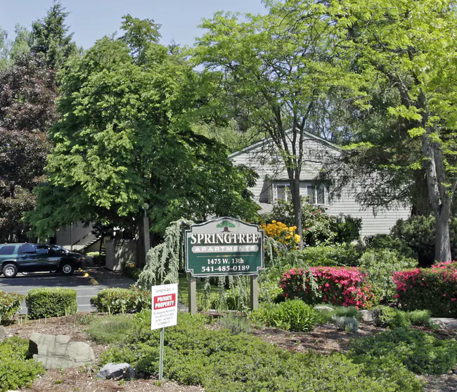 Springtree Apartments in Eugene, OR - Foto de edificio - Building Photo